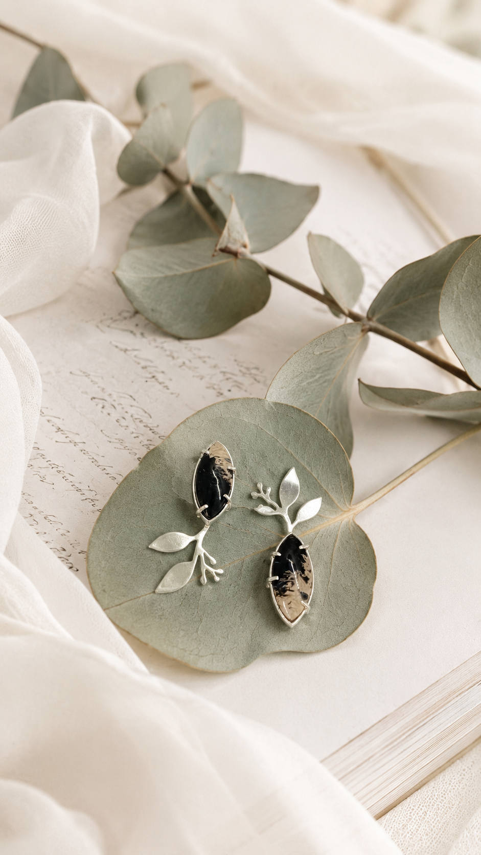 Hojas de Café Palm Root